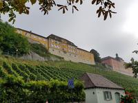 Meersburg (6)
