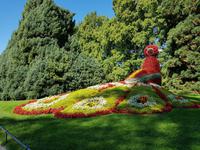 Insel Mainau (10) &ndash; &copy; Benjamin Rodriguez Manzanares (Eberhardt TRAVEL)
