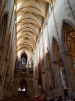 Ulm (7)