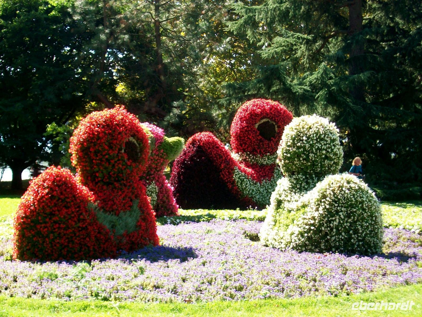 Blumeninsel Mainau &ndash; &copy; Steffen Mucke (Eberhardt TRAVEL)