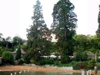 Blumeninsel Mainau &ndash; &copy; Steffen Mucke (Eberhardt TRAVEL)