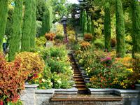 Blumeninsel Mainau &ndash; &copy; Steffen Mucke (Eberhardt TRAVEL)