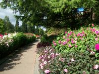 Blumeninsel Mainau &ndash; &copy; Steffen Mucke (Eberhardt TRAVEL)