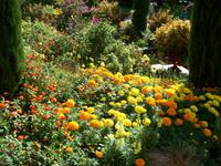 Blumeninsel Mainau &ndash; &copy; Steffen Mucke (Eberhardt TRAVEL)