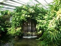 Blumeninsel Mainau &ndash; &copy; Steffen Mucke (Eberhardt TRAVEL)