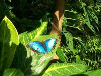Blumeninsel Mainau &ndash; &copy; Steffen Mucke (Eberhardt TRAVEL)
