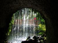 Blumeninsel Mainau &ndash; &copy; Steffen Mucke (Eberhardt TRAVEL)