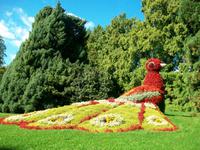 Blumeninsel Mainau &ndash; &copy; Steffen Mucke (Eberhardt TRAVEL)