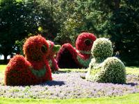 Blumeninsel Mainau &ndash; &copy; Steffen Mucke (Eberhardt TRAVEL)