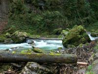 Breitachklamm &ndash; &copy; Steffen Mucke (Eberhardt TRAVEL)