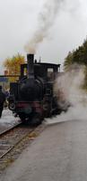 Zahnradbahn  &ndash; &copy; Mandy Rabe (Eberhardt TRAVEL)