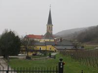 Gumpoldskirchen &ndash; &copy; Martina Pötschke (Eberhardt TRAVEL)