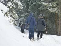 Schneeschuhwanderung &ndash; &copy; Kerstin Hugel (Eberhardt TRAVEL)