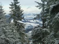 Sommeralm &ndash; &copy; Kerstin Hugel (Eberhardt TRAVEL)