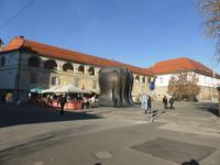 Maribor - Stadtschloss &ndash; &copy; Claudia Bernhardt (Eberhardt TRAVEL)