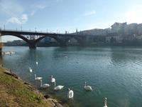 Maribor - Brücke über Drau &ndash; &copy; Claudia Bernhardt (Eberhardt TRAVEL)