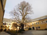 Millstatt_Stift (4) &ndash; &copy; Andreas Höhn (Eberhardt TRAVEL)