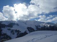 Hahnenkamm