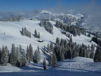 Hahnenkamm &ndash; &copy; Kerstin Hugel (Eberhardt TRAVEL)