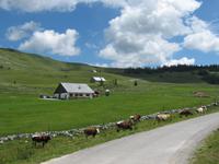 Christl-Alm &ndash; &copy; Ulrike Löbner (Eberhardt TRAVEL)