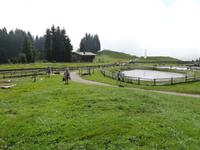 Filzalmsee &ndash; &copy; Mandy Lehmann (Eberhardt TRAVEL)