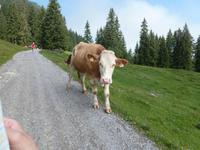 Filzalmsee &ndash; &copy; Mandy Lehmann (Eberhardt TRAVEL)