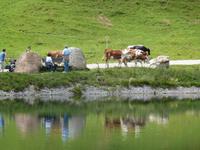 Filzalmsee &ndash; &copy; Mandy Lehmann (Eberhardt TRAVEL)