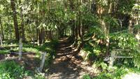 Wanderung Roggenboden &ndash; &copy; Andreas Mandel (Eberhardt TRAVEL)