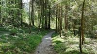 Wildschönau &ndash; &copy; Andreas Mandel (Eberhardt TRAVEL)