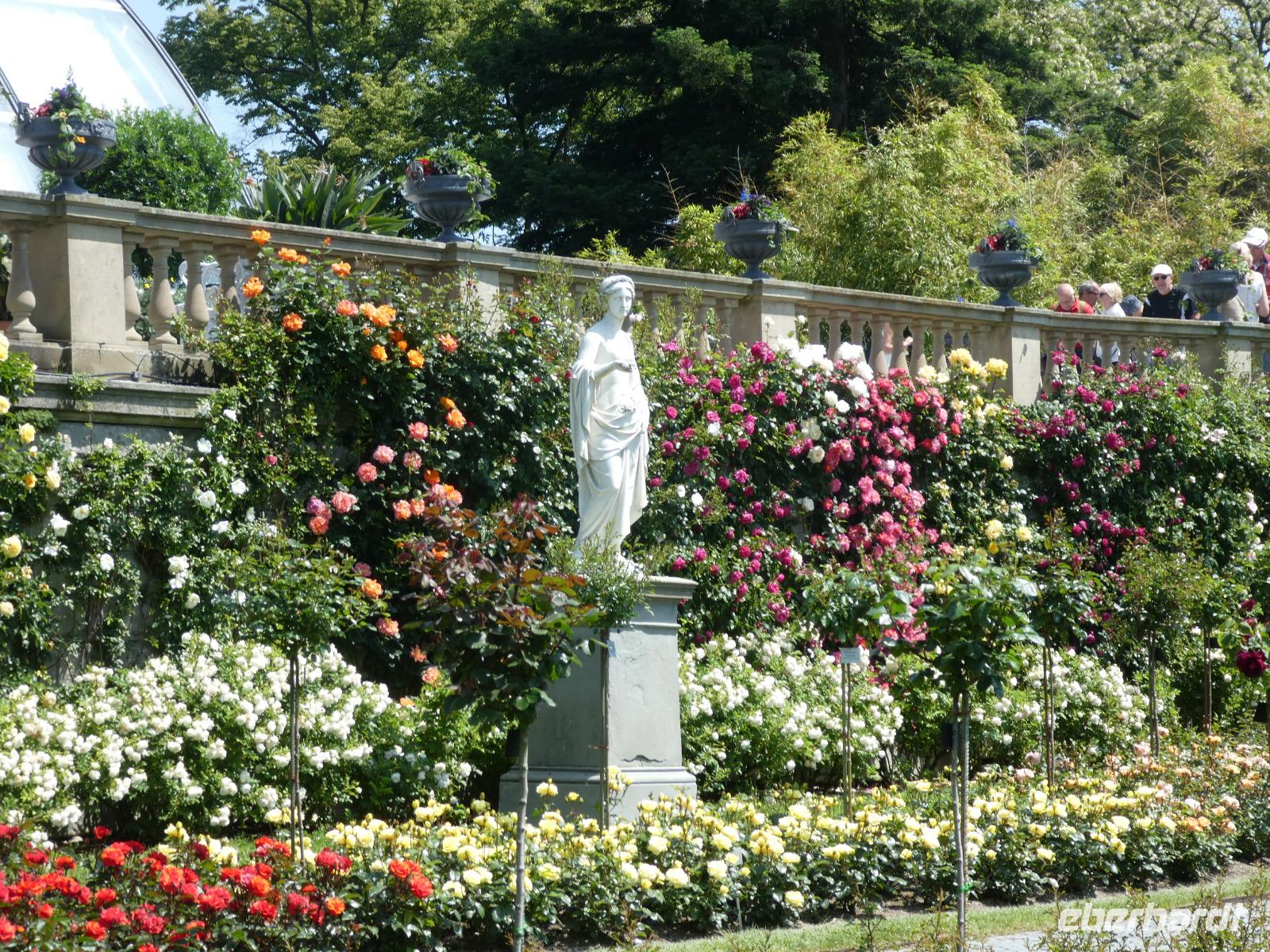Insel Mainau &ndash; &copy; Kerstin Hugel (Eberhardt TRAVEL)