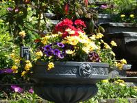 Insel Mainau &ndash; &copy; Kerstin Hugel (Eberhardt TRAVEL)