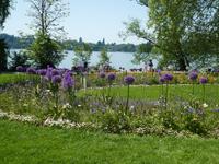 Insel Mainau &ndash; &copy; Kerstin Hugel (Eberhardt TRAVEL)