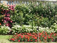 Insel Mainau &ndash; &copy; Kerstin Hugel (Eberhardt TRAVEL)