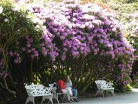 Insel Mainau &ndash; &copy; Kerstin Hugel (Eberhardt TRAVEL)