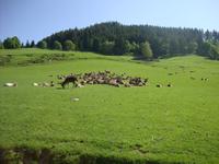 Wildpark Aurach &ndash; &copy; Harald Kühne (Eberhardt TRAVEL)