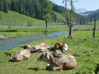 Steirischer Bodensee &ndash; &copy; Kerstin Hugel (Eberhardt TRAVEL)