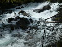 Riesachbach &ndash; &copy; Kerstin Hugel (Eberhardt TRAVEL)