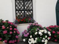 Wien Deutscher Orden 2 &ndash; &copy; Walburga Lindner (Eberhardt TRAVEL)