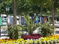 DSCN4067  Kurpark &ndash; &copy; Kerstin Veit (Eberhardt TRAVEL)