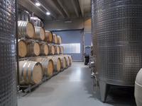DSCN4105  Weingut Esterhazy &ndash; &copy; Kerstin Veit (Eberhardt TRAVEL)