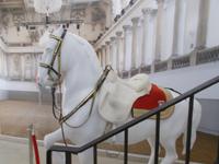DSCN4183  Lipizaner &ndash; &copy; Kerstin Veit (Eberhardt TRAVEL)