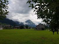 Bregenzer Wald