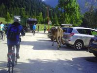 Rettenbach Alm &ndash; &copy; Reinhard Kappes (Eberhardt TRAVEL)