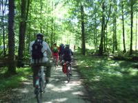 Tour am Attersee