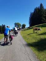 Weg zum Riedlwirt &ndash; &copy; Sophia Bär (Eberhardt TRAVEL)