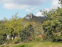 Dürnstein &ndash; &copy; Martina Pötschke (Eberhardt TRAVEL)