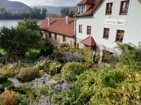 Dürnstein &ndash; &copy; Martina Pötschke (Eberhardt TRAVEL)