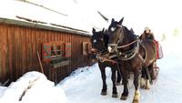 Kutschfahrt am Katschberg &ndash; &copy; Sinah Witzig (Eberhardt TRAVEL)