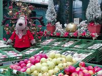 Auf dem Grünen Markt &ndash; &copy; Martina Pötschke (Eberhardt TRAVEL)