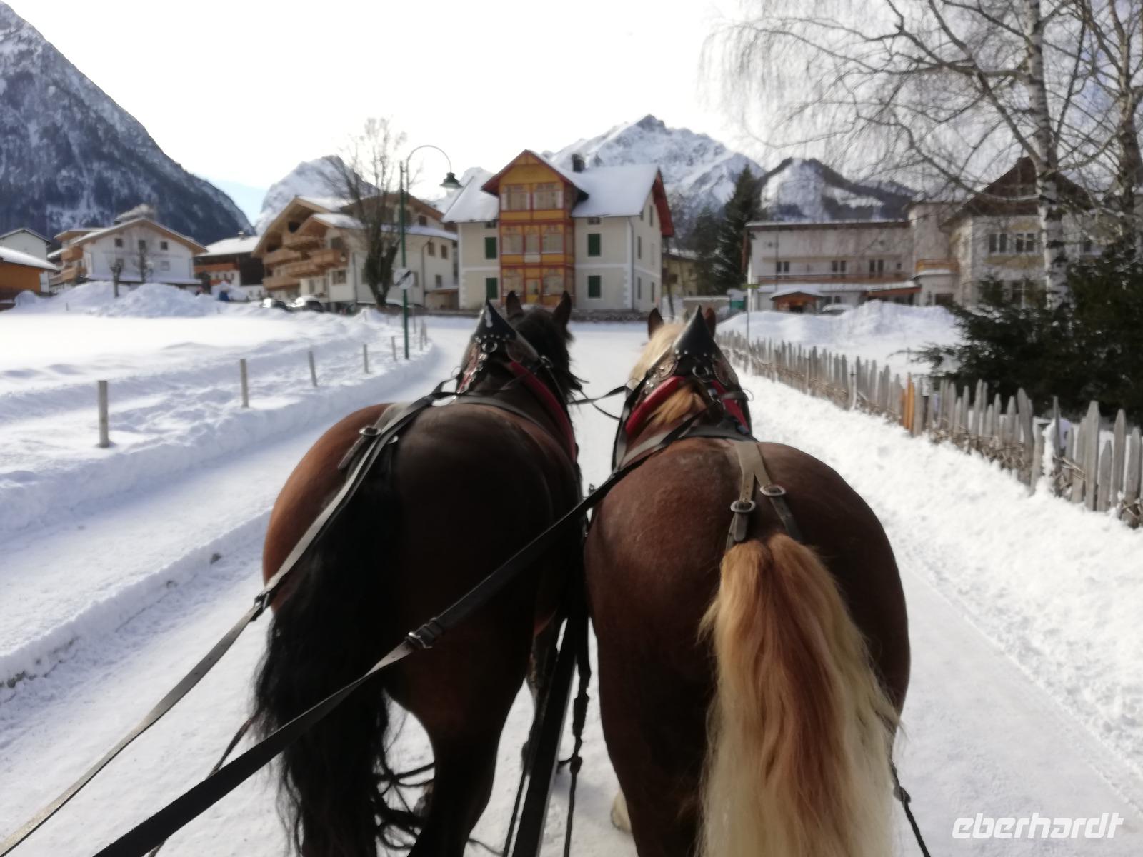 Mit dem Pferdeschlitten unterwegs &ndash; &copy; Alina Konstantinov (Eberhardt TRAVEL)